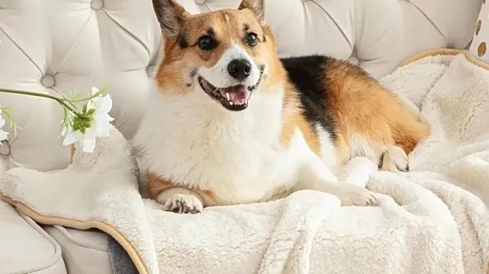 Low Price Hot Beds Chinese Manufacturers Beds Long Service Time